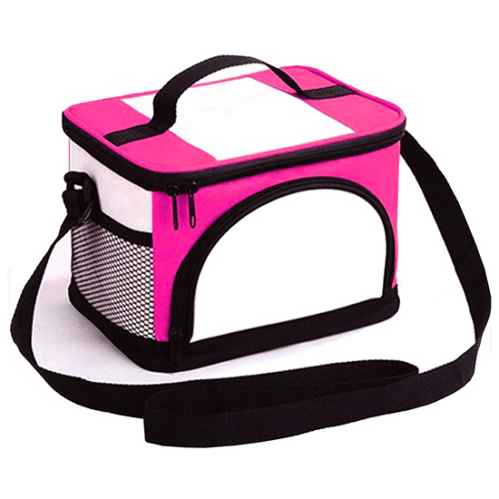 Cooler Bag, Insulated Bag, Lunch Bag, Picnic Pack, Thermal Basket, Ice Box, Can Koozie Case