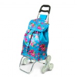 Shopping cart, Shopping trolley