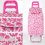Shopping cart, Shopping trolley