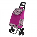 Shopping cart, Shopping trolley