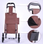 Shopping cart, Shopping trolley