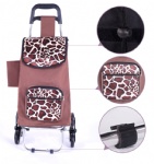 Shopping cart, Shopping trolley