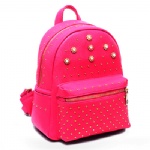 Backpack, Rucksack, Daypack, Haversack, Knapsack, School Bag, Laptop Bag