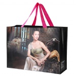 Shopping Bag, Grocery Bag, Shopper Tote Bag, Eco Friendly Recycle Bag, Grab Carrier Bag, Drawstring Bag, Promotional Bag, Reusable Beach Bag, Non Woven Retail Store Bag, Canvas Bag, Cotton Bag, Laminated PP Woven Utility Bag